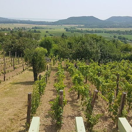 Grand Cru Vendégház Hegymagas Extérieur photo